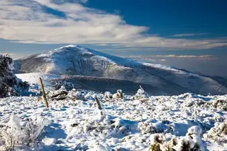 Връх Кадийца