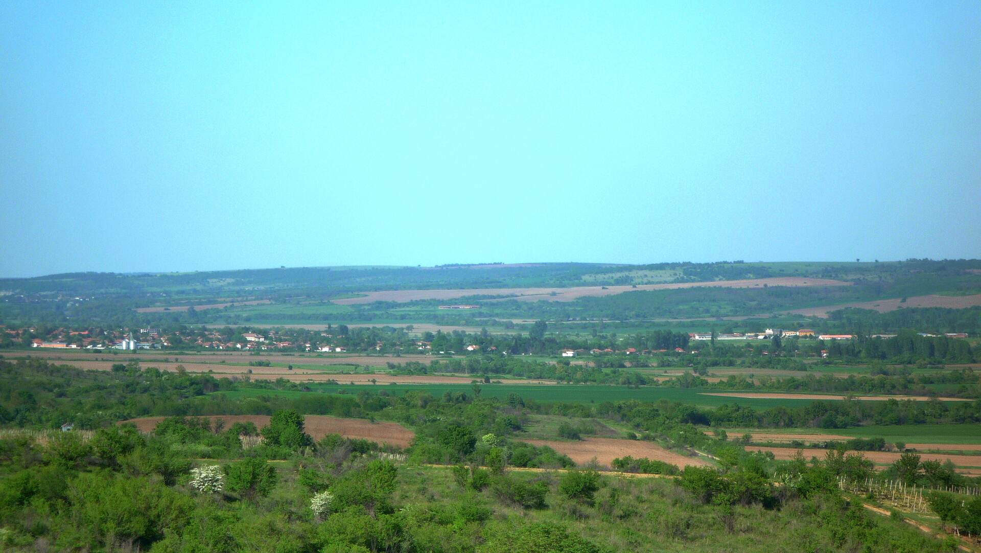 Дерманци