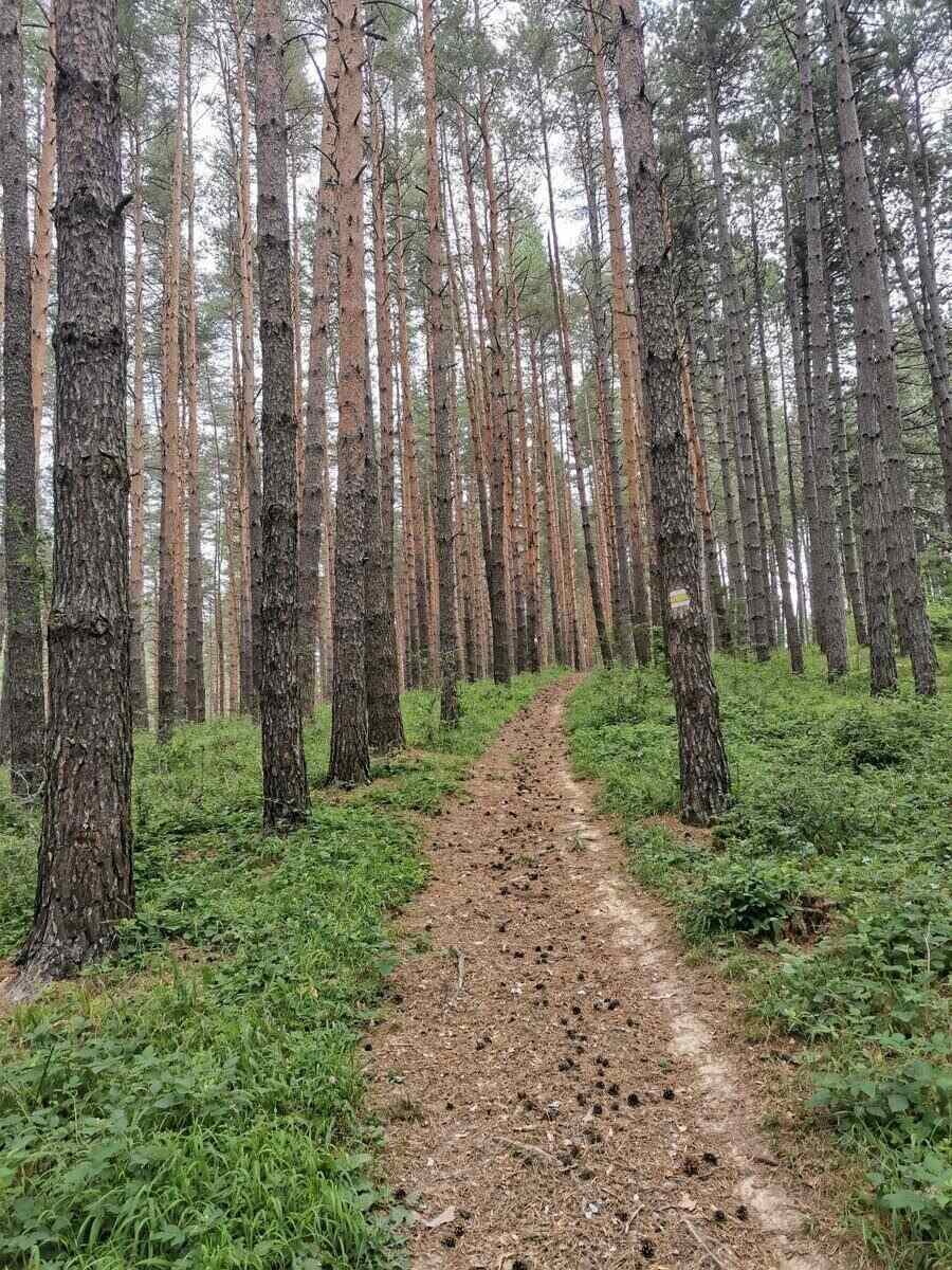 Екопътека Бележката