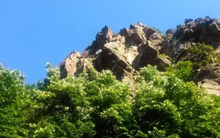 Алпийски заслон  - Храбрино