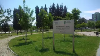 Ротарианска гора в Артилерийски парк - Стара Загора