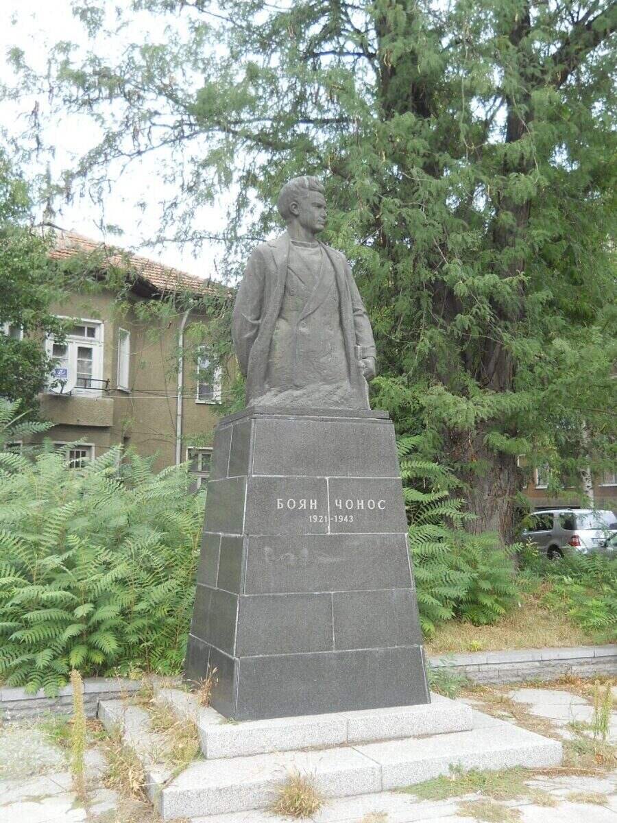 Паметник на Боян Чонос - Видин