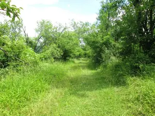 Чешма "Св. Марина" - Дряново