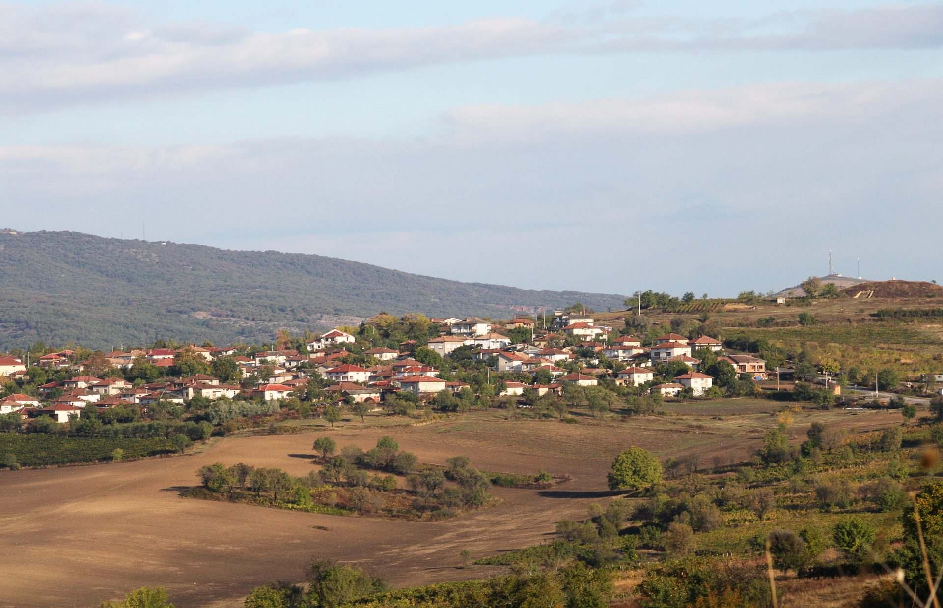 Свирачи