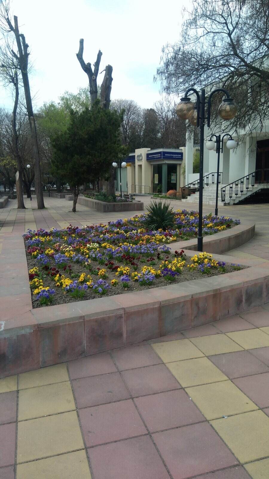 Централен градски площад - Дългопол