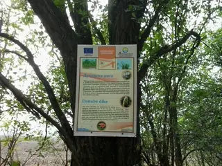 Образователен екомаршрут "Калимок-Бръшлен"