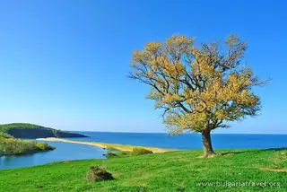 Защитена местност "Велека"