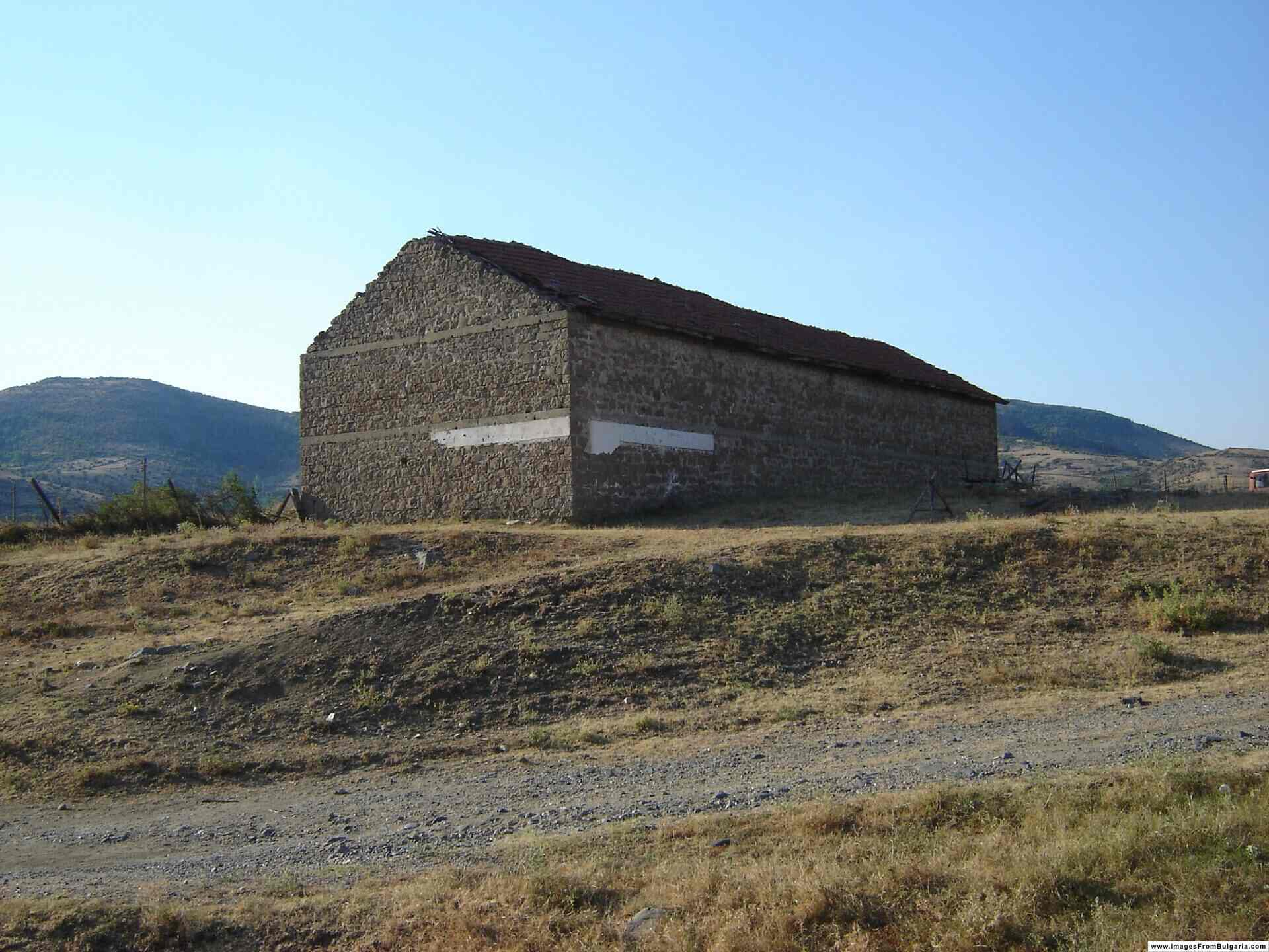 Златолист