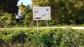 Екомаршрут Бръшленско блато