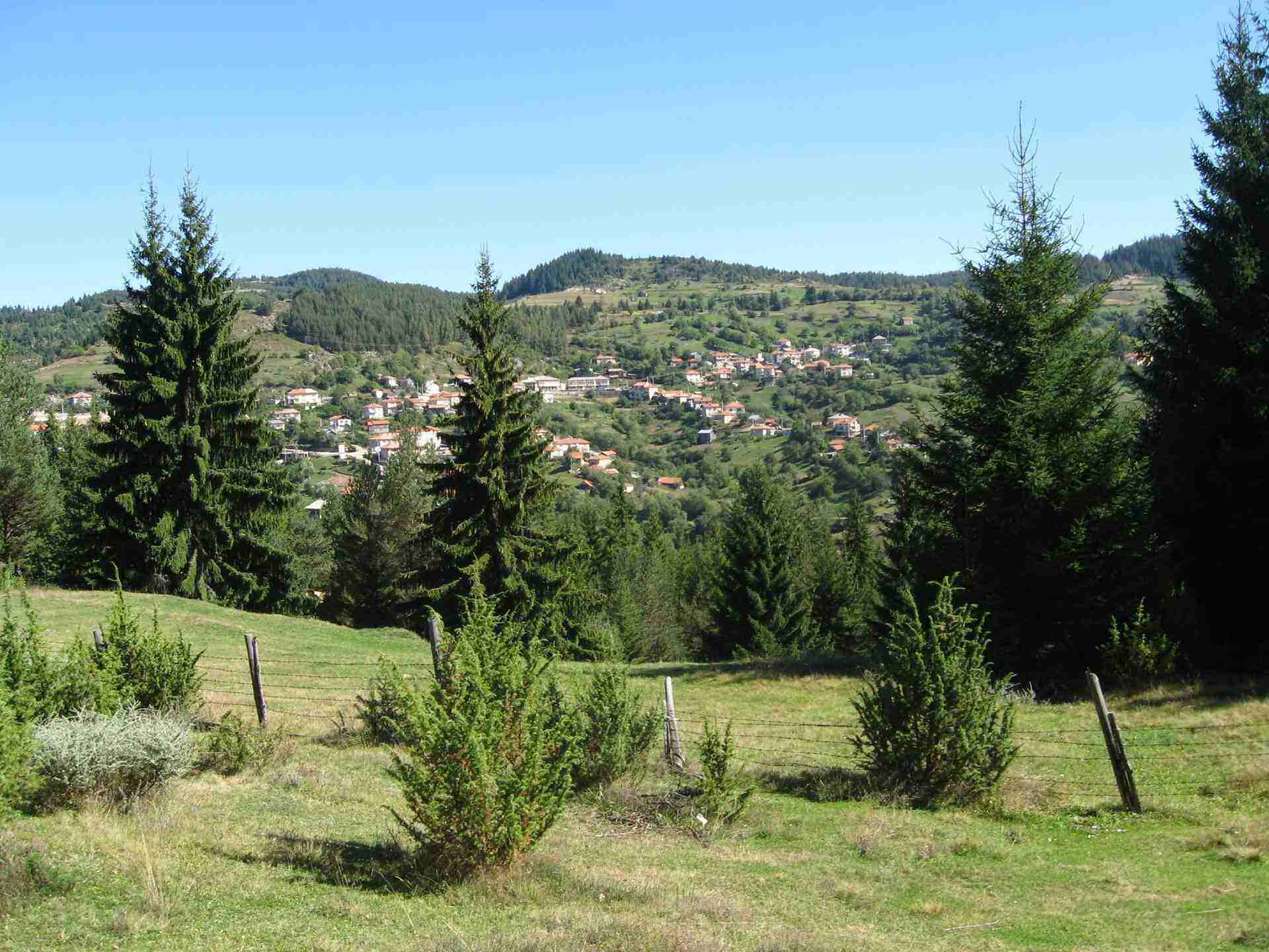 Чавдар