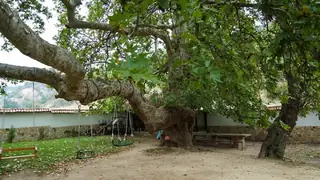 Църква "Св. Георги" - Златолист