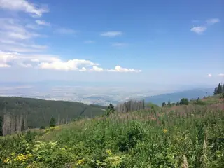 "Меча поляна" - Витоша