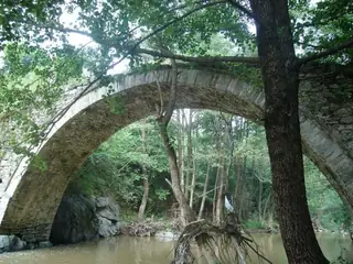 Римски мост - Нареченски бани