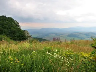 Горнокознички манастир - Горна Козница