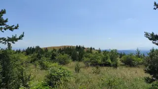 Връх Свети Илия - 1030 м.