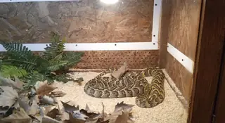 Екзотариум в Морската градина — Терариум Варна