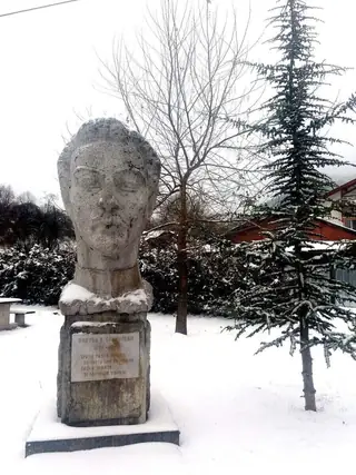 Бюст-паметник на Никола Войновски - с.Чифлик