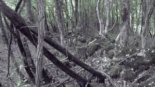 Бучуковско кале Крепост - Бучуковци