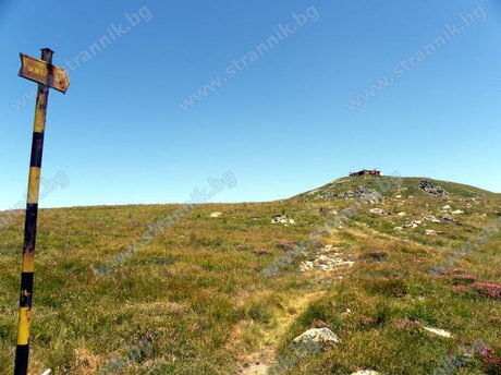 Връх Мургаш