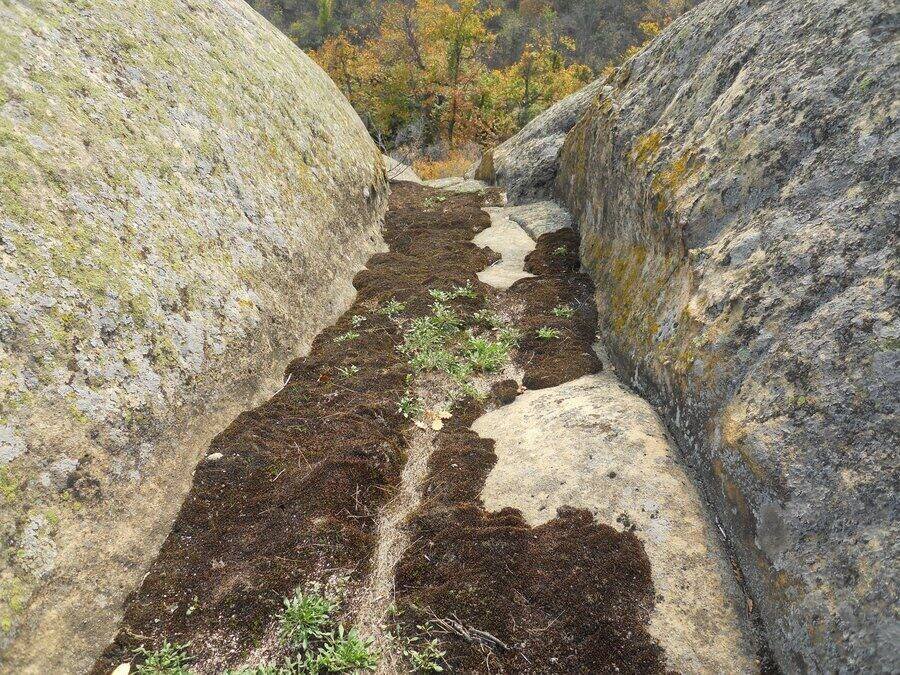 Скално образувание "Ярамаз кая"