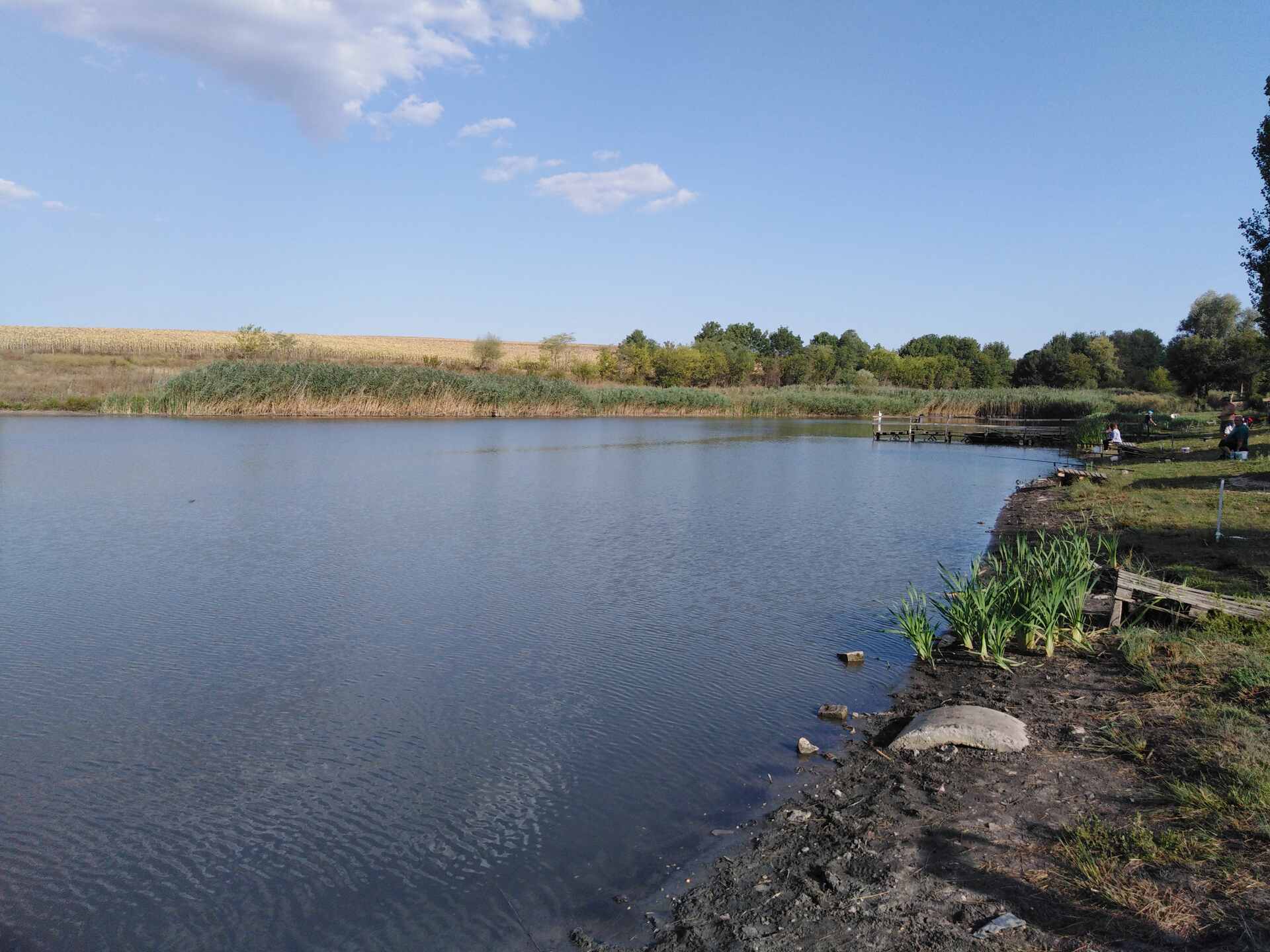 Полковник Минково