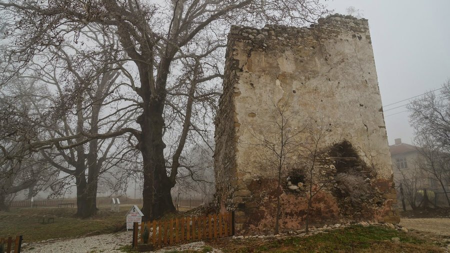 Средновековна кула и вековни чинари - Белащица