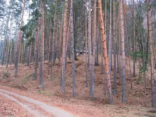 Параклис "Св. Св. Петър и Павел" - Сапарева баня