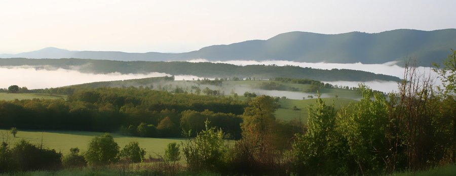 Ловно стопанство "Бялка" - Ловеч