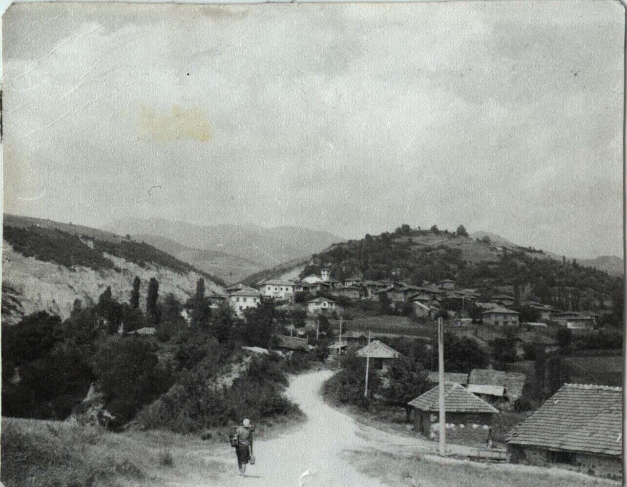 Горна Сушица