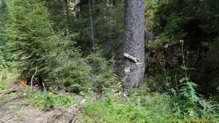 Пещера "Ледницата" - Гела