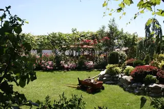 Етнографски комплекс "Дамасцена" - Скобелево