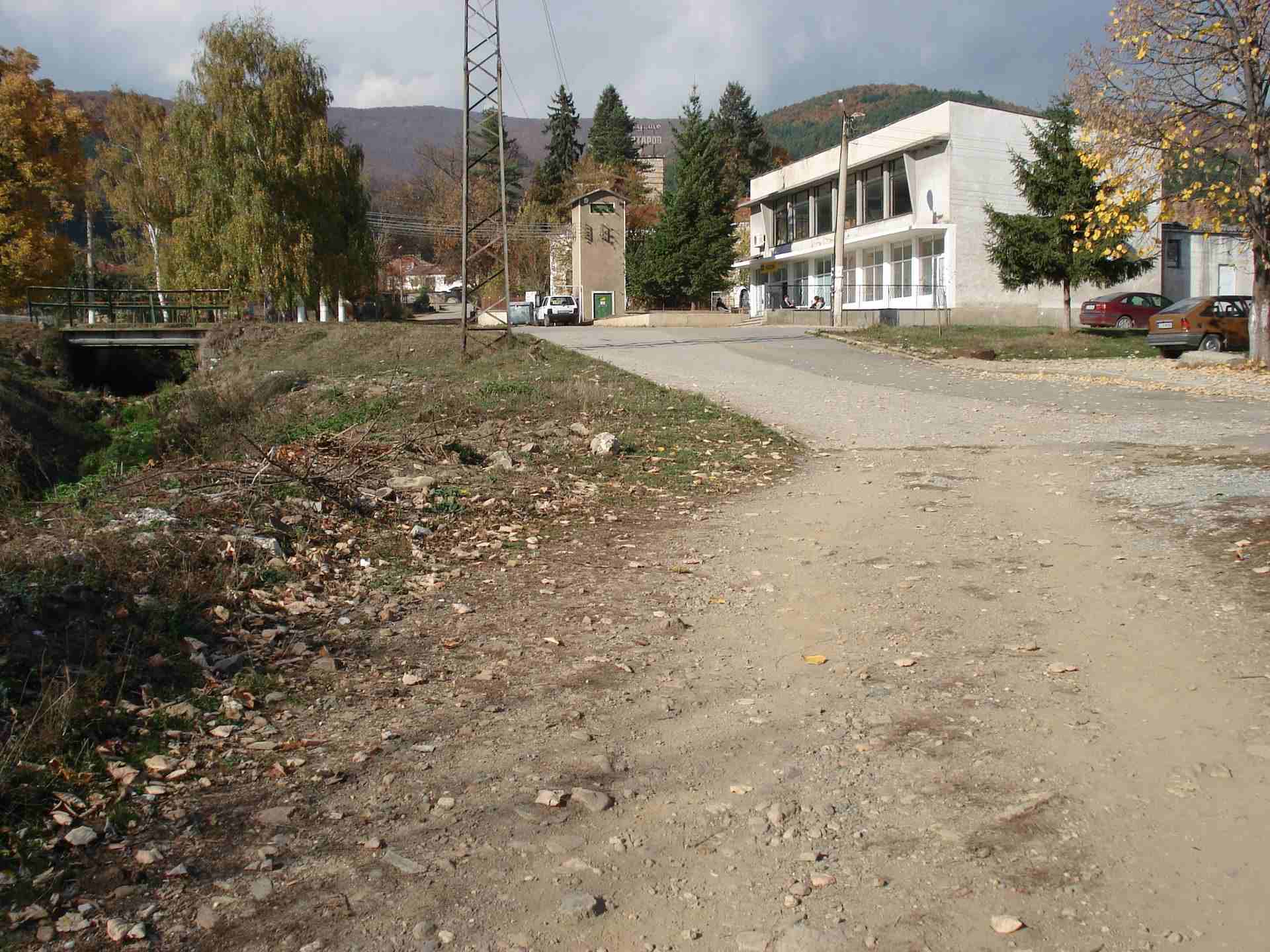 Осоица