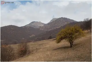 Връх "Милеви скали"