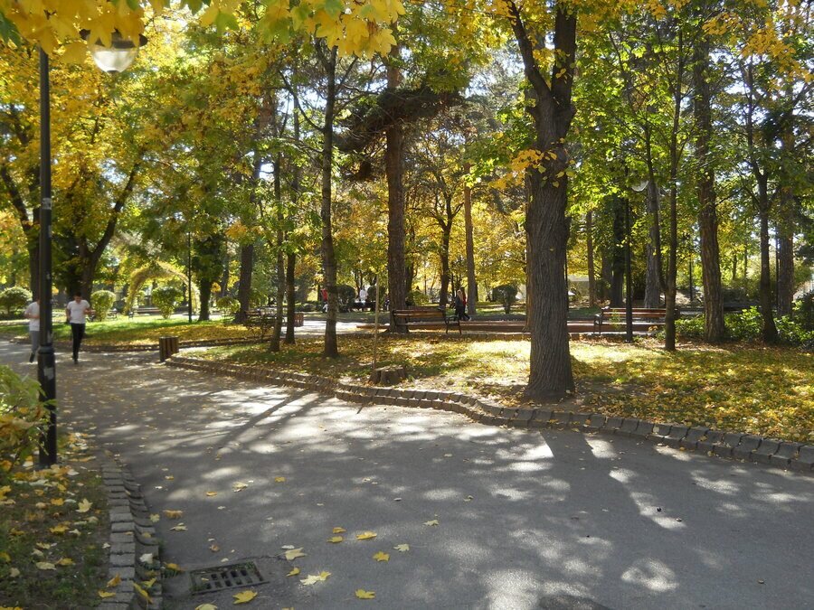 Градска градина - Дупница