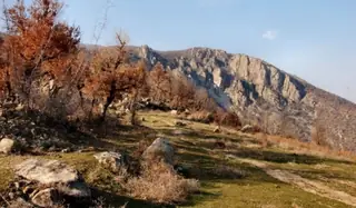 Резерват "Тисата" - Пирин