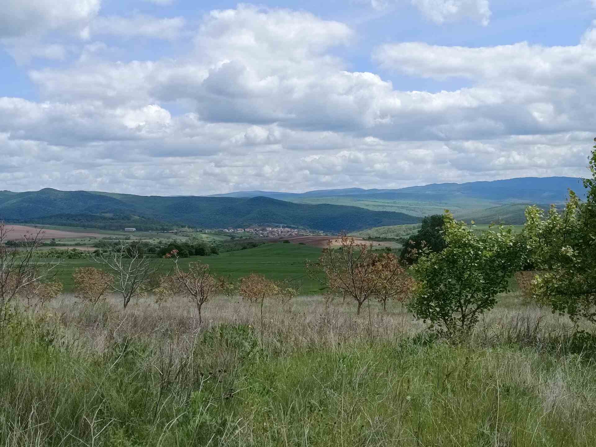 Листец