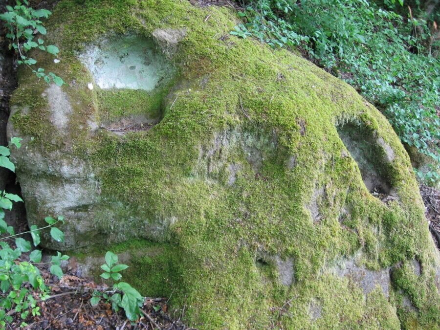 Скални ниши - с.Бабинска река