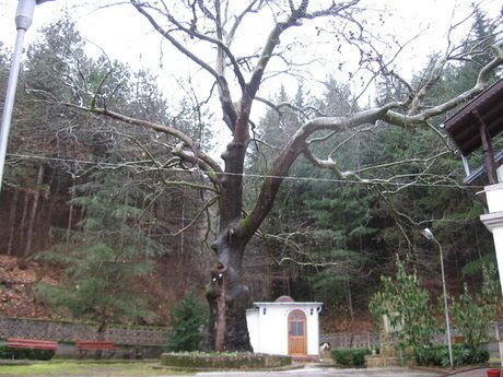 Петрички манастир "Св. Петка" - Петрич