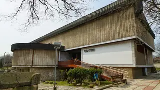 Музей на мозайките - Девня