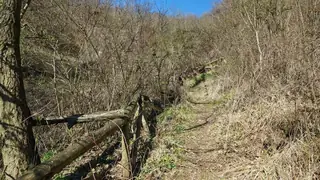 Скален манастир "Кара пещера" - Манастир