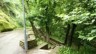 Алея "Баш Бунар" - Ловеч