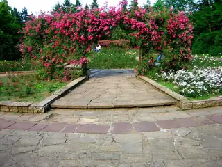 Розариума в Парка на младежта - Русе