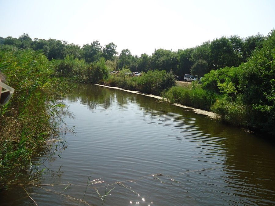 Защитена местност "Силистар"