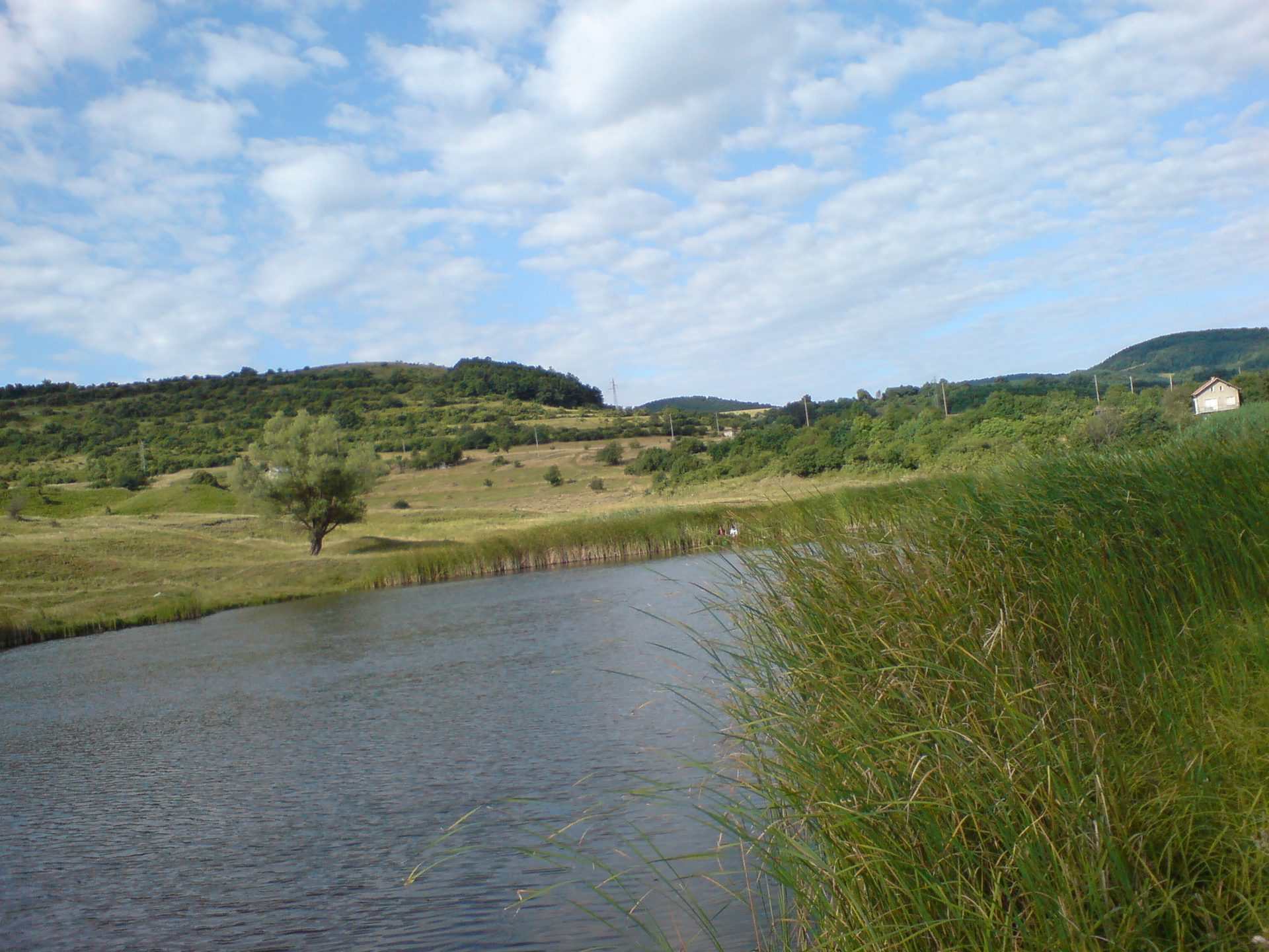 Радуловци