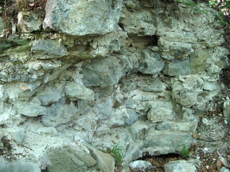 Средновековен манастир в м. "Манастиро" - Голема Фуча