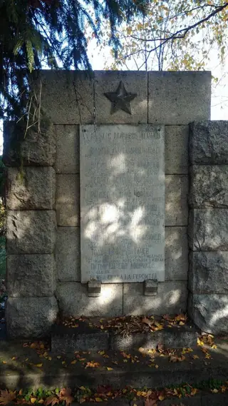 Паметник на загиналите във войните - с. Извор