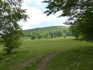 Поддържан резерват "Богдан"