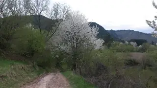 Екопътека "Равня" - Девин