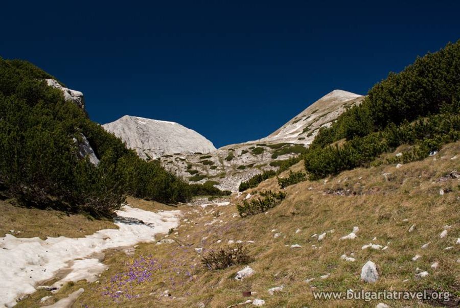 Парков район Синаница - Пирин