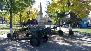 Паметник на загиналите във войните - Дунавци